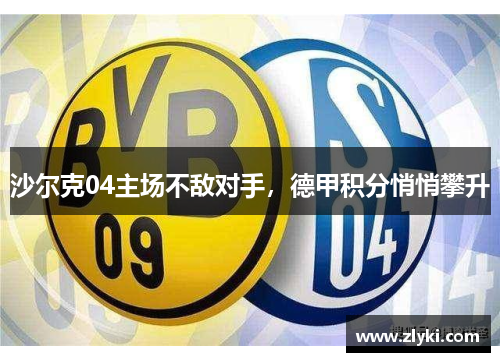 沙尔克04主场不敌对手，德甲积分悄悄攀升