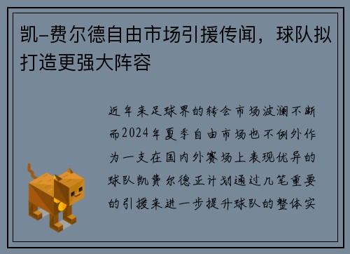 凯-费尔德自由市场引援传闻，球队拟打造更强大阵容